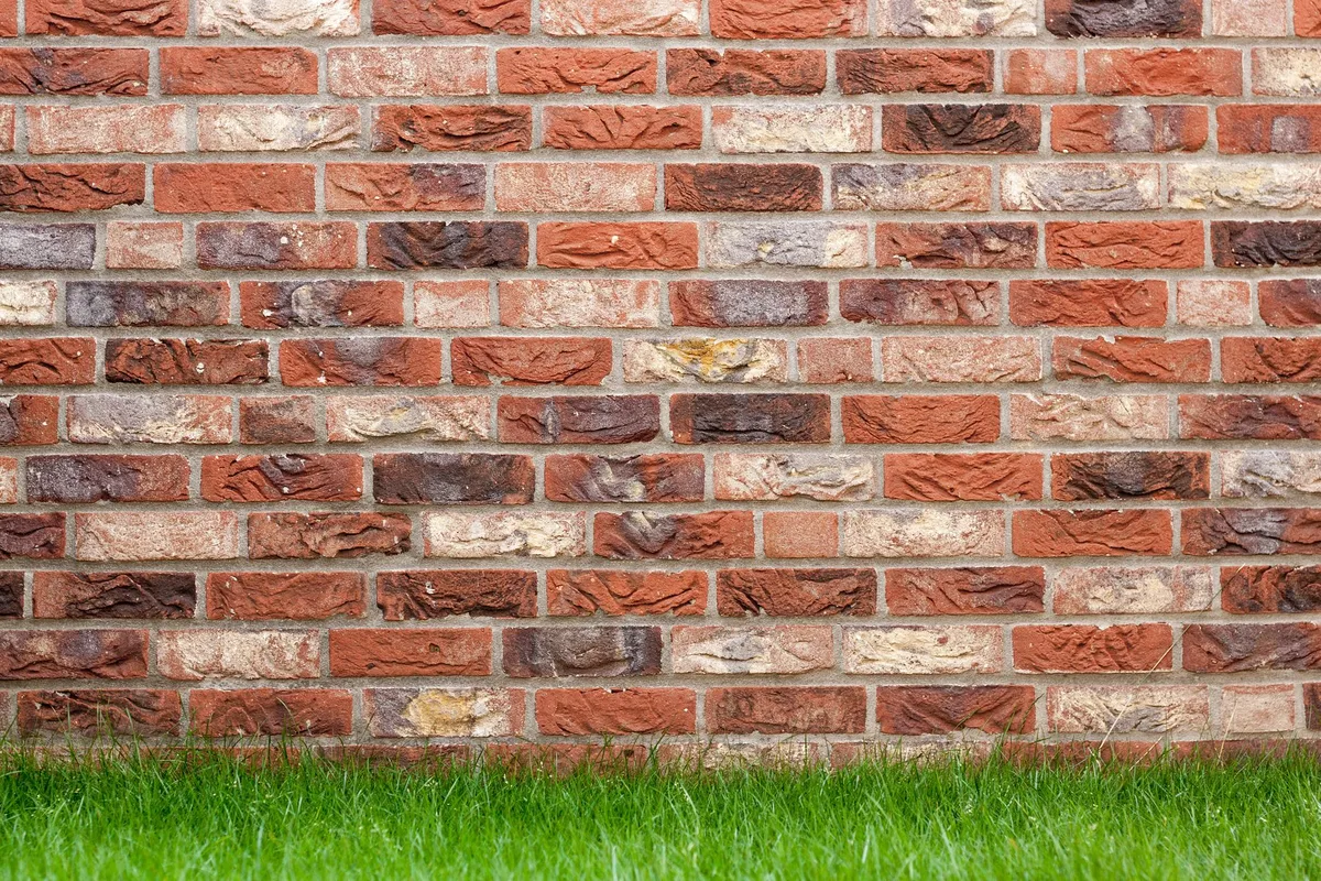 Uneven lawn surface with bumps and dips