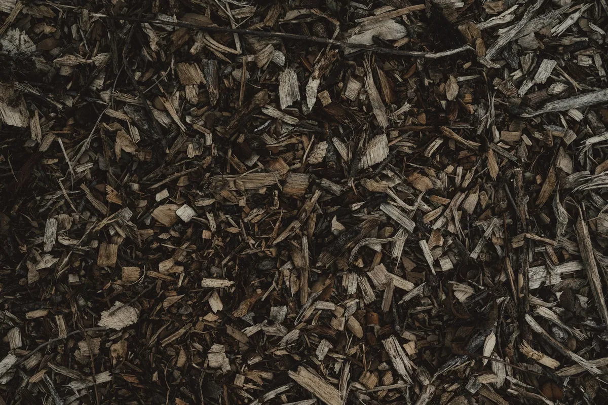 volcano mulching
