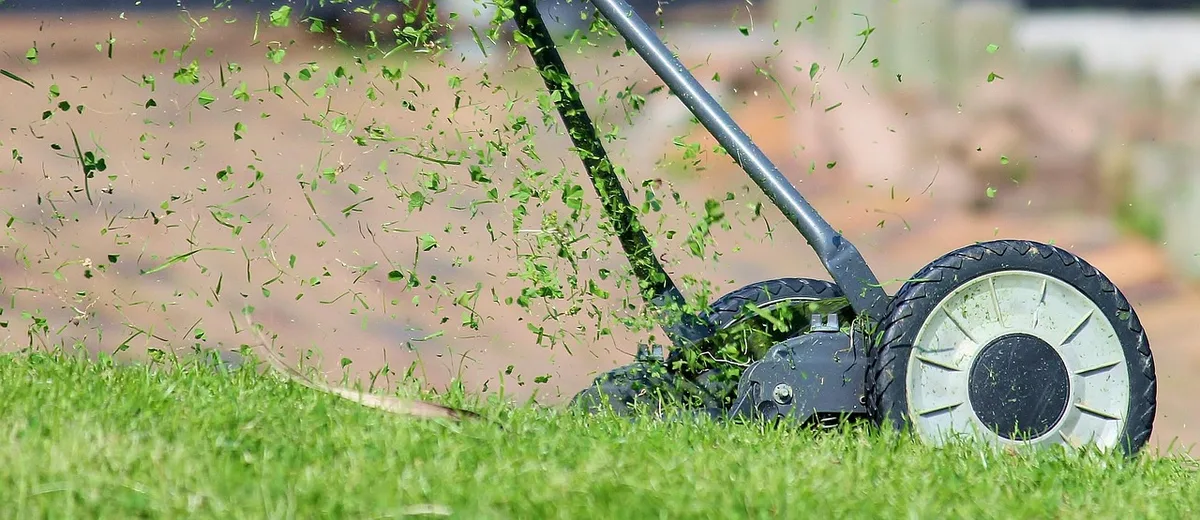 walk-behind mower