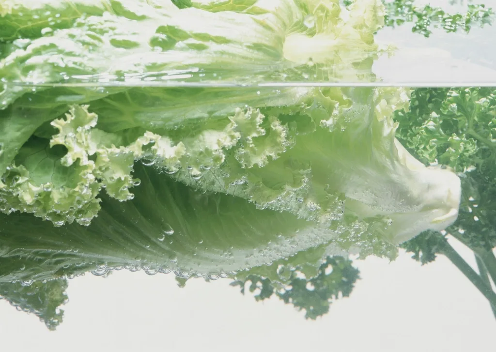 washing produce