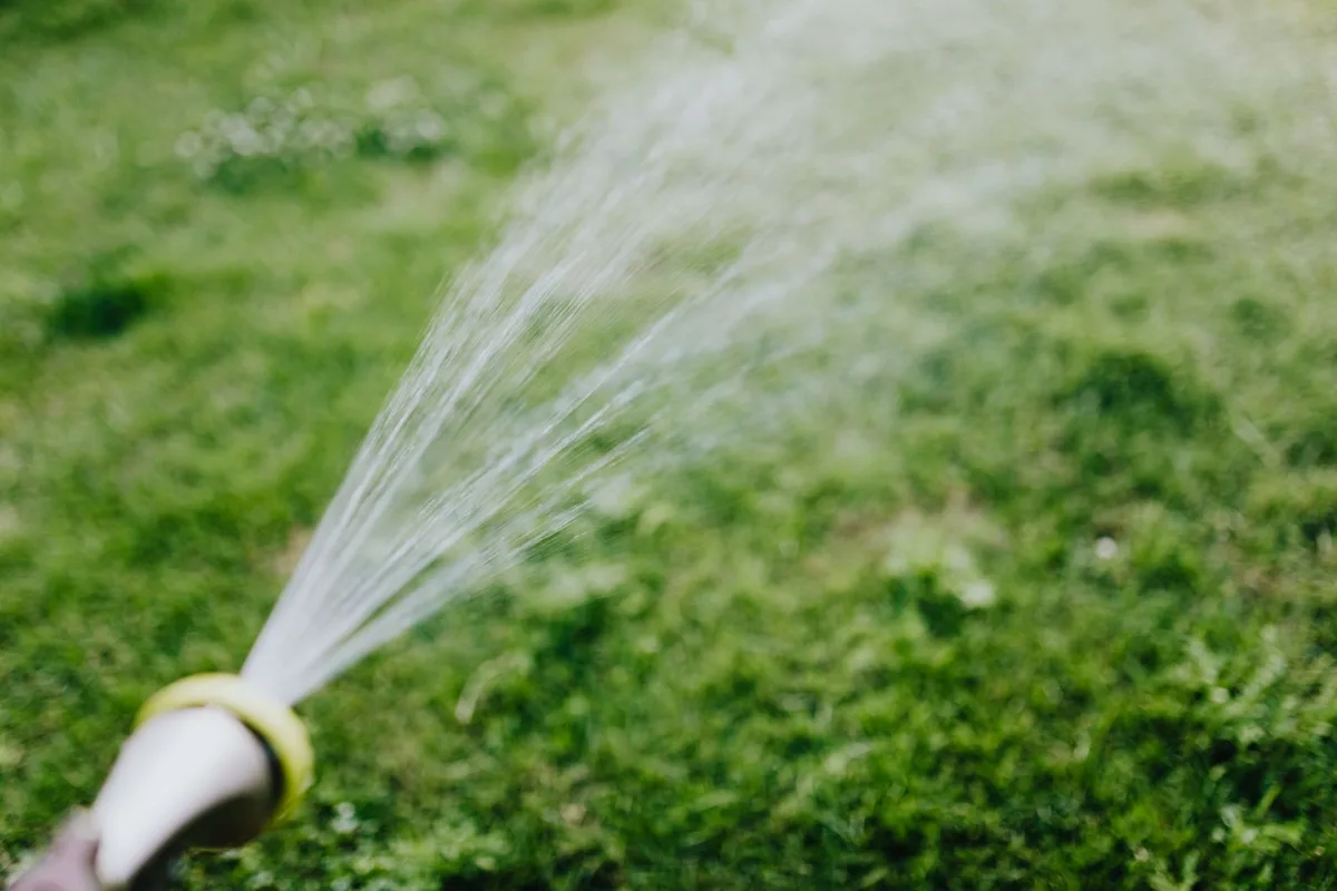 watering after fertilizing