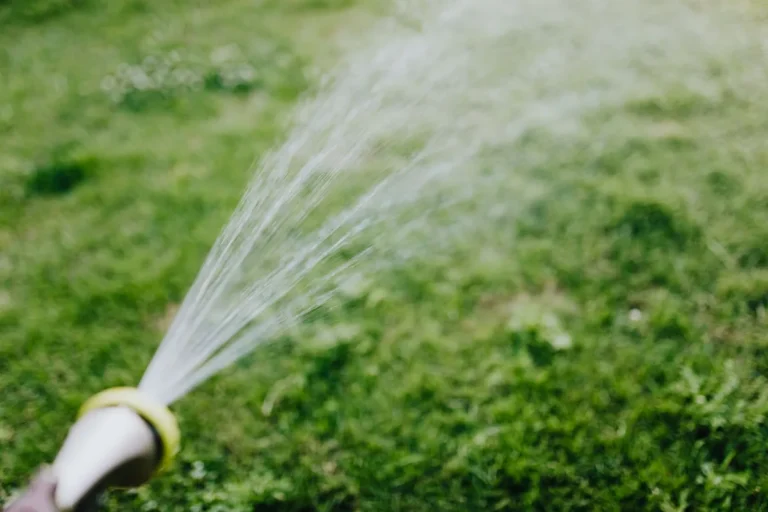 watering after fertilizing