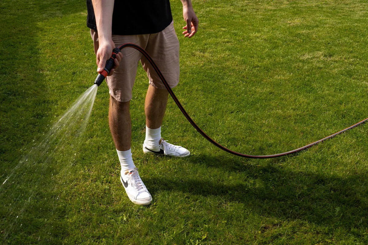 watering lawn with hose after spraying mistake