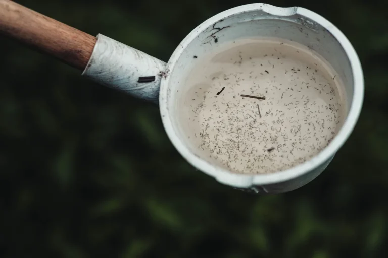 What causes mosquito control
