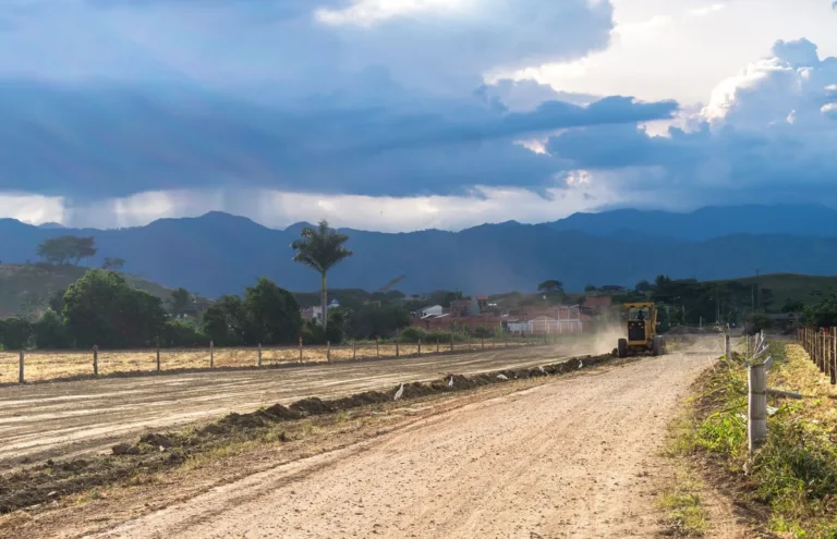 When should you soil improvement