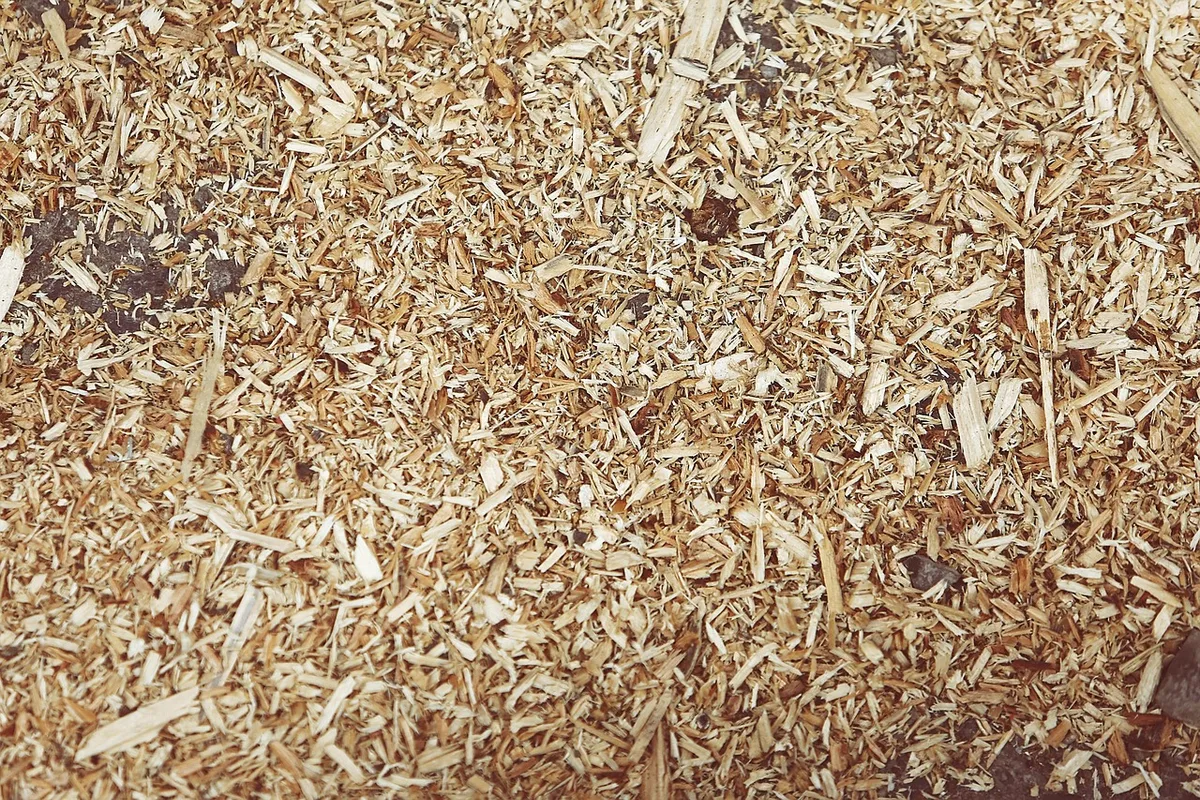 Wood chip mulch closeup