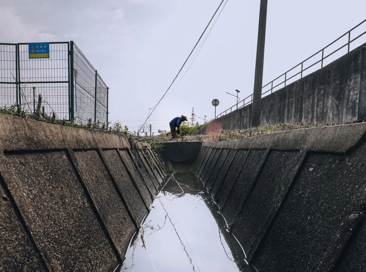 yard drainage swale